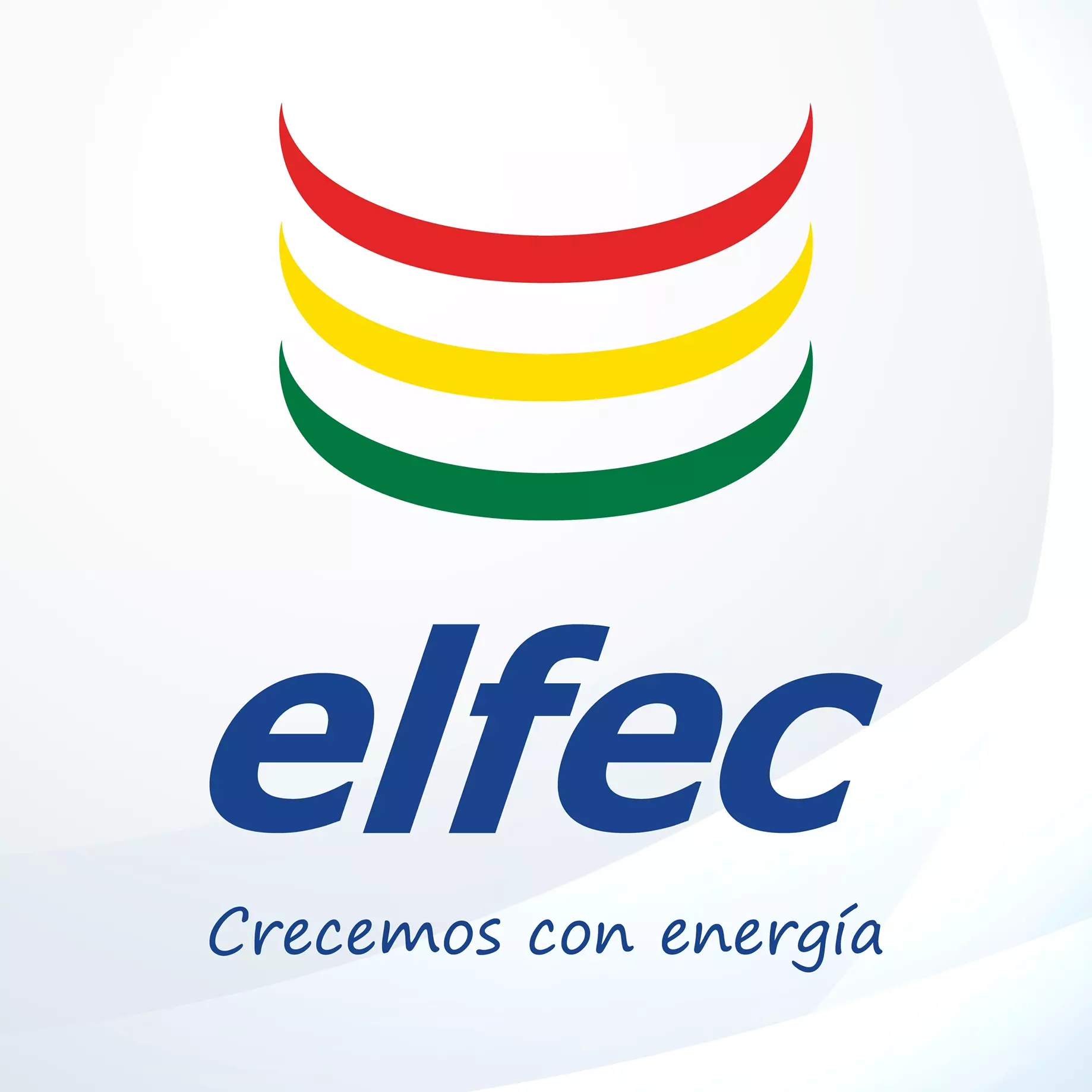 Elfec S.A.